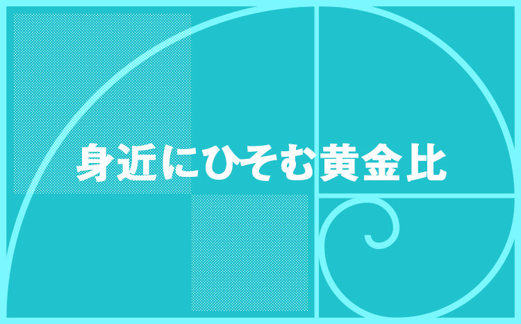 身近にひそむ黄金比 東京 恵比寿のデザイン会社 株式会社ibma アイビーエムエイ